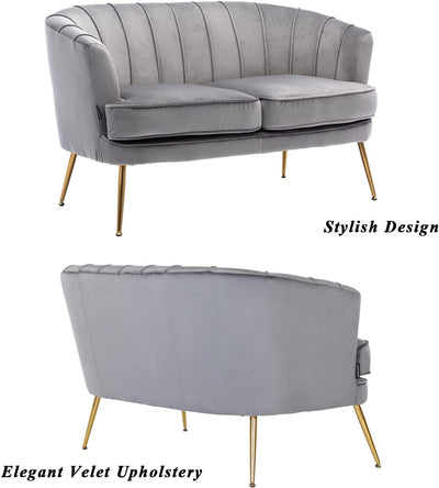 2- Seat Contemporary Velvet Chair Sofa For Living Room