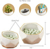 Geometric Ceramic Planters Decorative Bowls, Small & Medium (Set of 2) White - Privè Home Goods